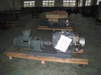 普利施65PLST6-10 日用化工轉子泵,甘油、化妝品料漿輸送泵 價格優惠歡迎咨詢圖片_高清圖_細節圖-江蘇普利施泵業 -